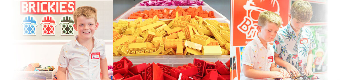 Brickies LEGO Parties in Windsor and Maidenhead